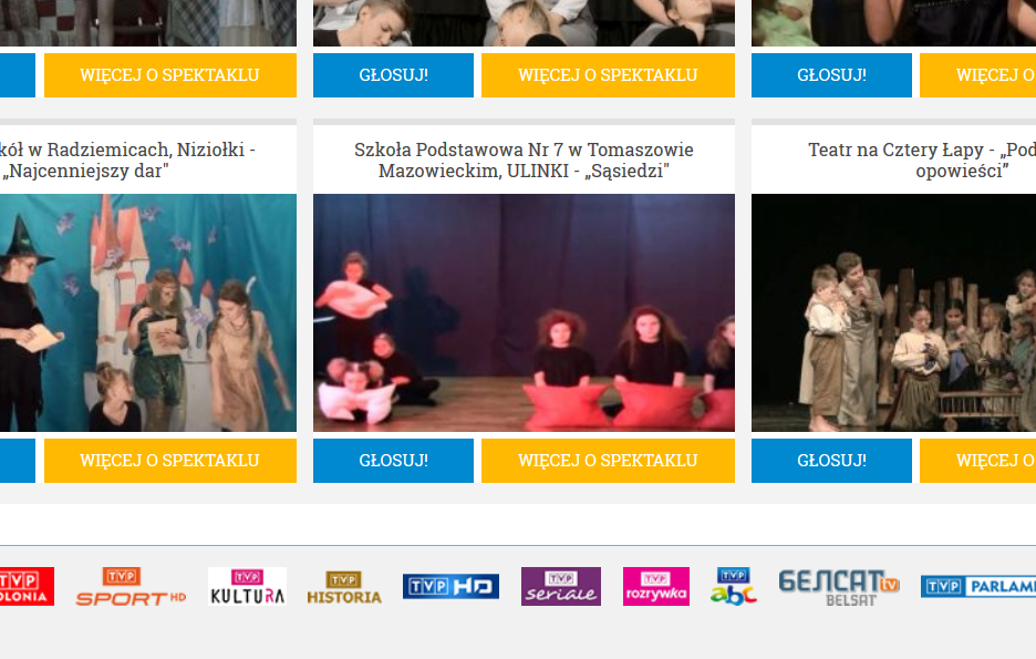 Screen ze strony do głosowania na tomaszowską młodzież