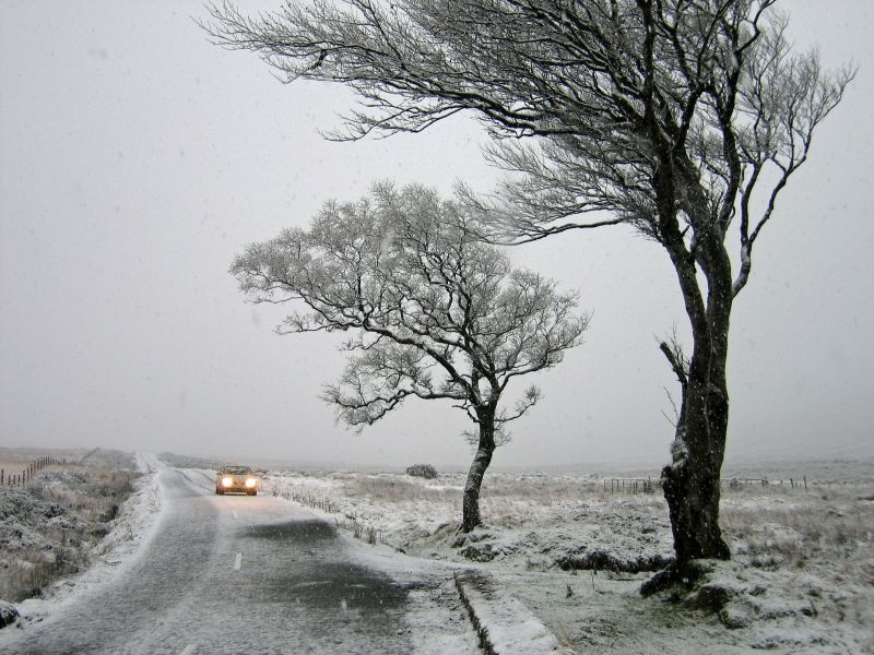 Na zdjęciu przy drodze drzewa pochylone od wiatru, zaśnieżona łąka, na drodze auto z włączonymi światłami