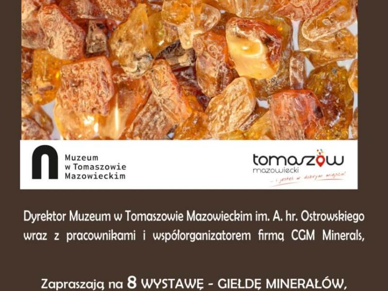 Na zdjęciu plakat wystawy minerałów w muzeum. Na plakacie zdjęcie bursztynu