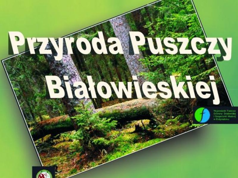 Przyroda Puszczy Białowieskiej – nowa wystawa w muzeum
