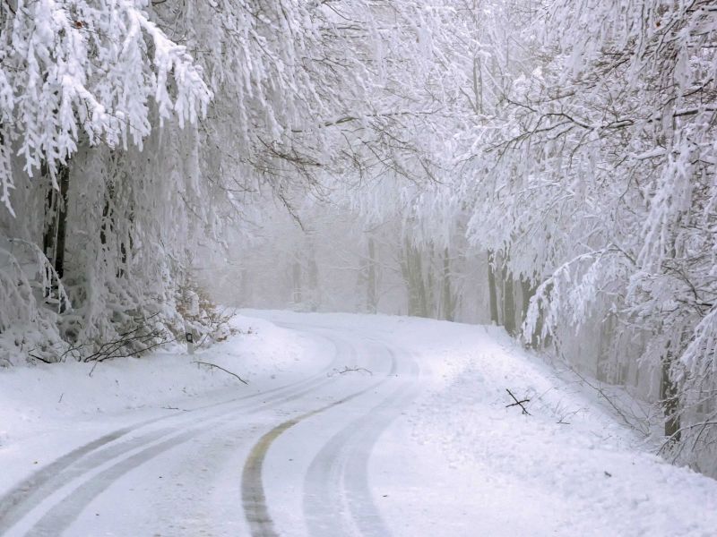 Na zdjęciu zaśnieżona i oblodzona droga w lesie. Na drodze odbirte na śniegu ślady kół. Wokół ośnieżone, oszronione drzewa