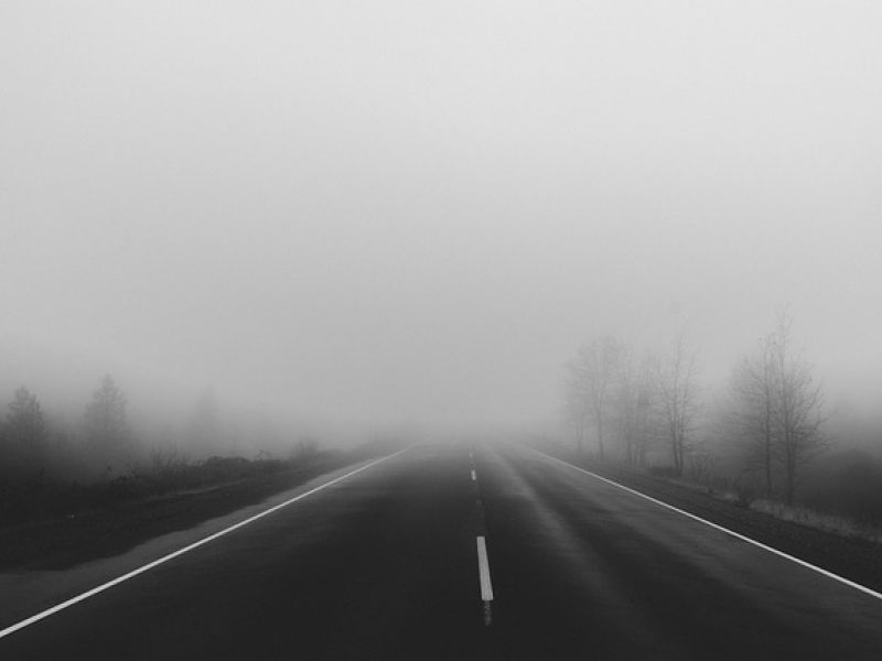 Na zdjęciu fragment drogi samochodowej spowitej we mgle. Na poboczu drzewa spowite we mgle.