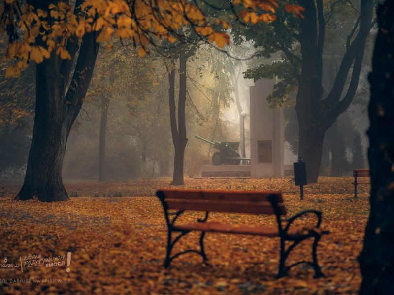 park jesienią z drzewami ławką oraz pomnikiem i armatą