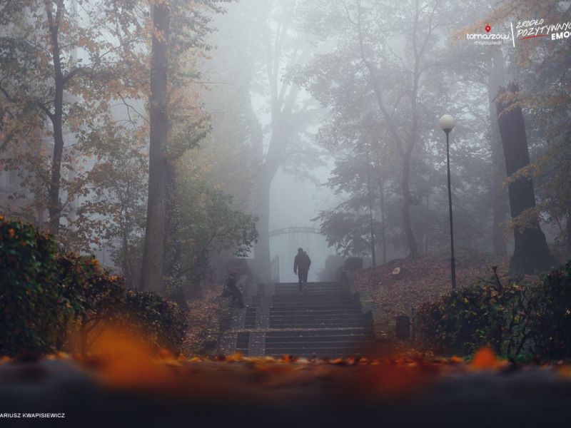 Uwaga na mgły. Zdjęcie przedstawia mężczyznę  na schodach w parku. Wszystko spowite jest mgłą 