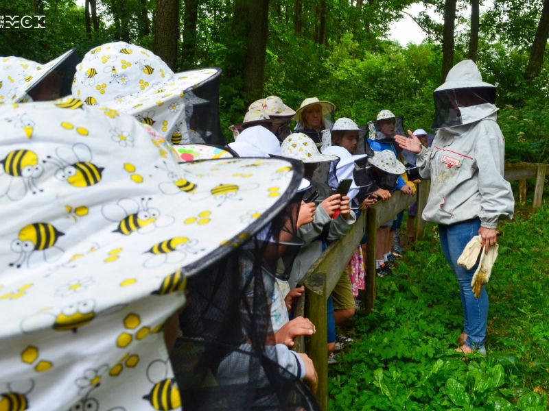 Na zdjęciu uczestnicy wycieczki do Pasieki w Lipce. Ubrani w stroje pszczelarzy słuchaja pogadanki o pszczołach