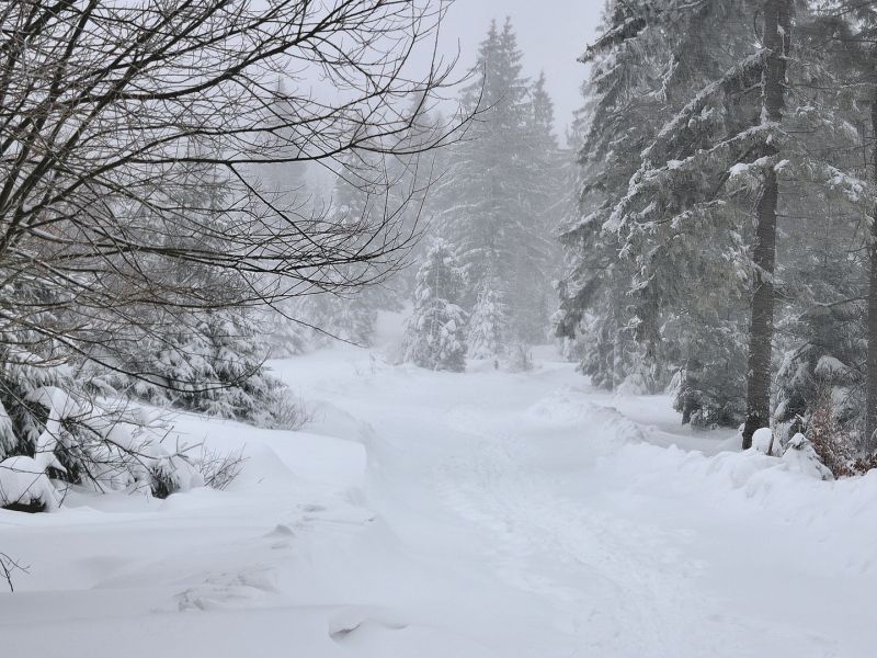 Na zdjęciu śnieżny pejzaż. Droga zasypana śniegiem, ośnieżone drzewa